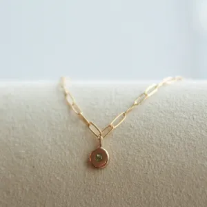 Birthstone Charm Necklace